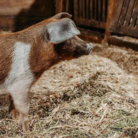 Mittner Wirt Grosskirchheim Apartament *