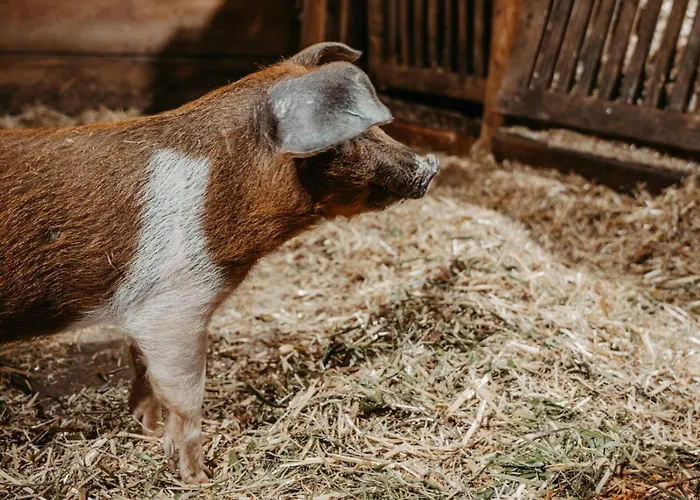 Mittner Wirt Grosskirchheim Apartament *